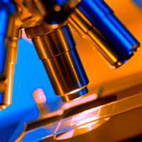 Custom Microscope Systems